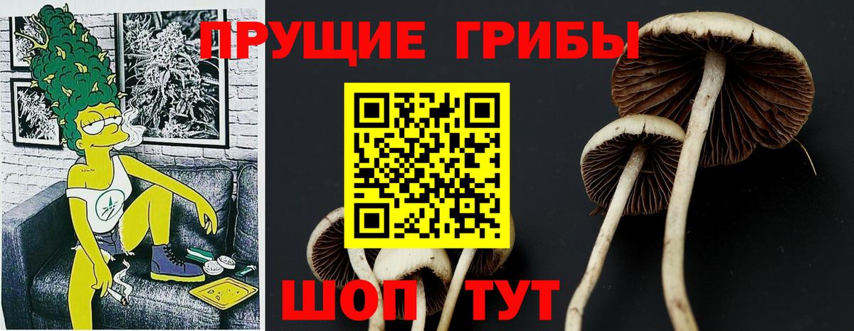 Королёв  Псилоцибиновые грибы MAGIC MUSHROOMS  Псилоцибиновые грибы ЛСД  Вход с VPN 